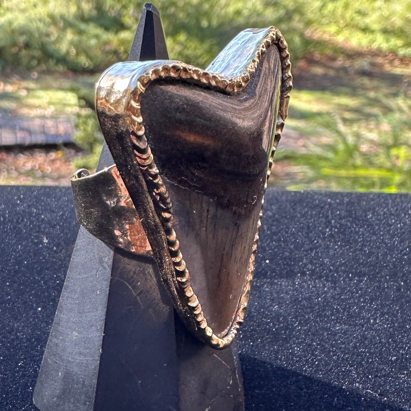 Megalodon Ring