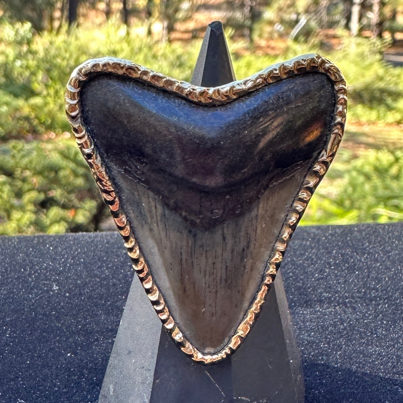 Megalodon Ring